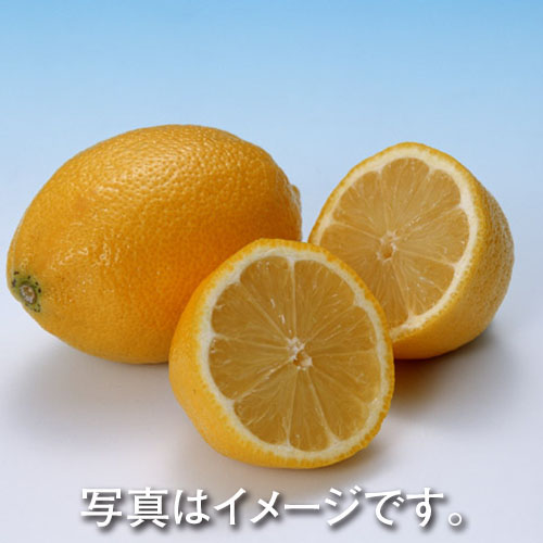 レモン １個