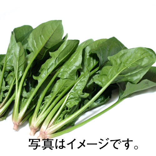 ほうれん草 １袋