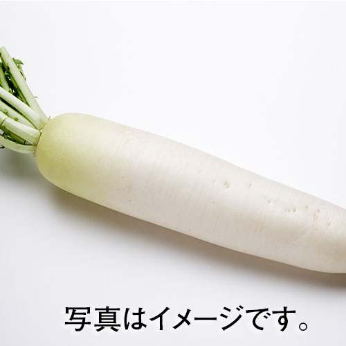 北海道産・青森県産ほか国産 大根１／２