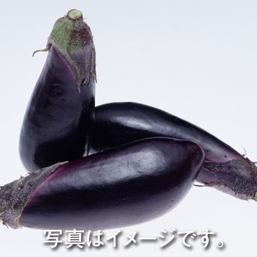 愛知県産・山梨県産・茨城県産ほか国産 なす　1袋