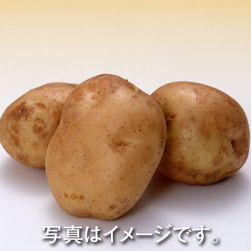 北海道産ほか国産 ジャガイモ　1袋