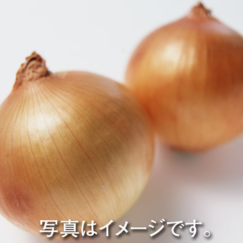 北海道産ほか国産 たまねぎ　1袋