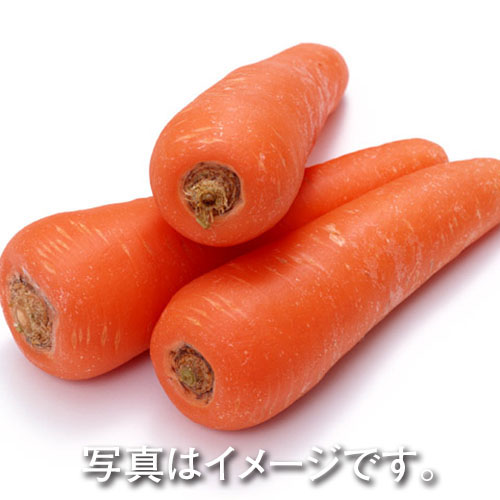 北海道産ほか国産 にんじん　1袋