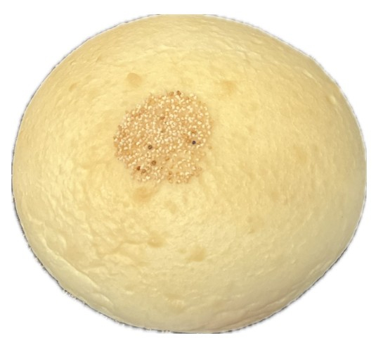 杏林堂 もちっと豚まん