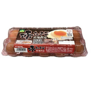 井指産業 産地直送　　　赤たまご １０個入