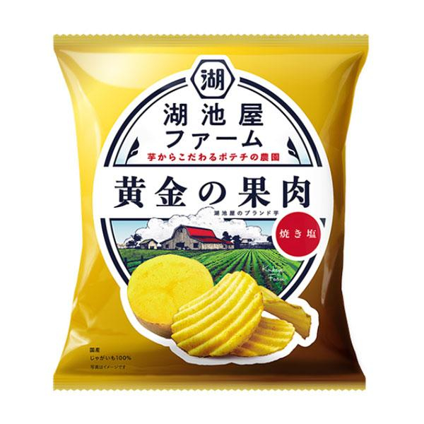 湖池屋 ファーム黄金の果肉焼き塩 ５５ｇ