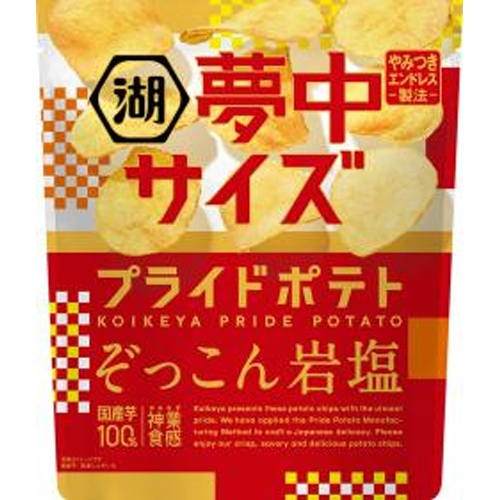 湖池屋 プライドぞっこん岩塩 １０２ｇ