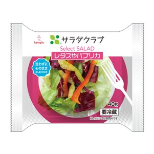 サラダクラブ Ｓｅｌｅｃｔサラダ レタスパプリカ