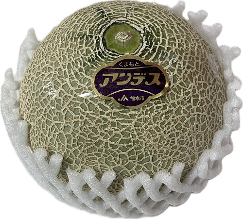 熊本県産ほか国産 アンデスメロン 1個
