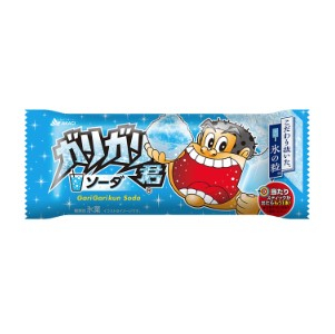 赤城乳業 ガリガリ君ソーダ １０５ｍｌ