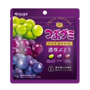 春日井 つぶグミＰＲＥＭＩＵＭ濃厚ぶどう ７５ｇ