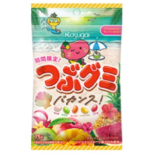 春日井製菓 Ｊつぶグミバカンス ７５ｇ