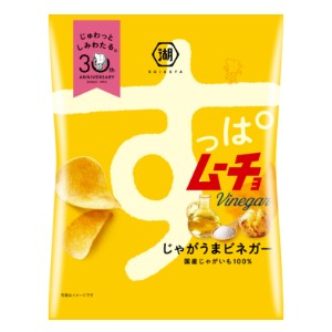 湖池屋 すっぱムーチョ ビネガー ５５ｇ