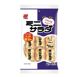 三幸製菓 ミニサラダ九州醤油味　 ２枚&times;１１袋入