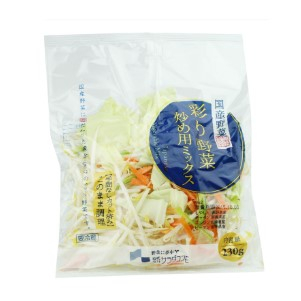 サラダコスモ 彩り野菜炒め用ミックス