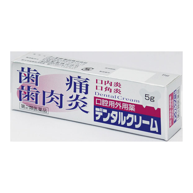 ノーエチ薬品 デンタルクリーム ５ｇ