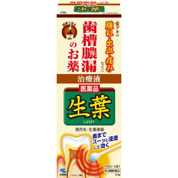 小林製薬 生葉液薬 ２０ｇ