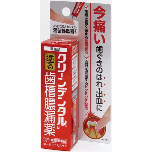 第一三共ヘルスケア クリーンデンタルＮ　塗る歯槽膿漏薬 ８ｇ